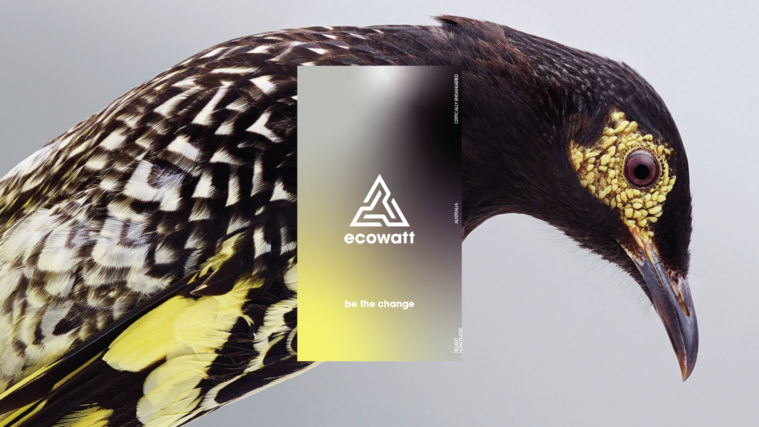 Ecowatt_Bird